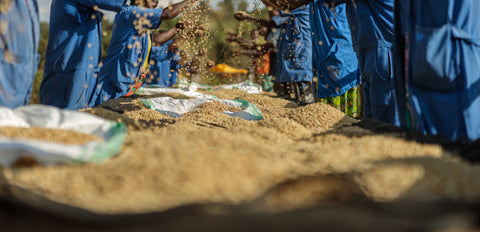 Our Sourcing Partners